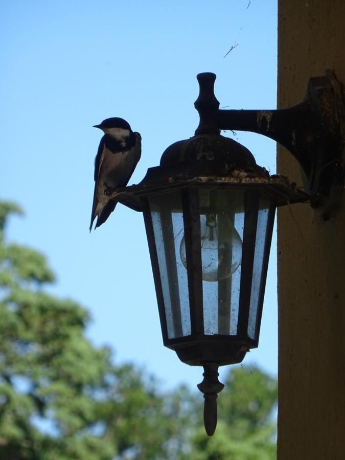 Manwood Lodge Henburg Park 外观 照片